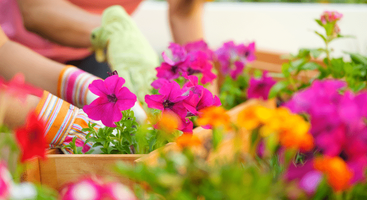 20250324 4 things to expect from the spring housing market original