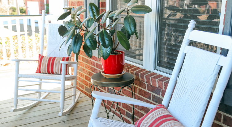 header image 20230404 blog